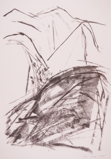 o.T. Landschaft (Wolf Elke)