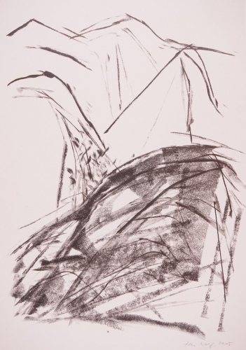 o.T. Landschaft (Wolf Elke)
