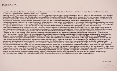 Die Bergung (Köhler Barbara)