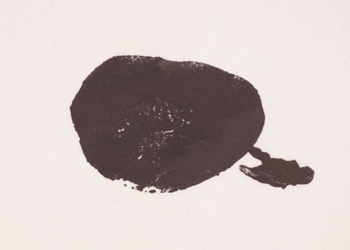 o.T. (Schliesser Thomas)