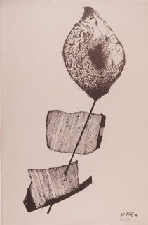 o.T. Florales (Wolff Willy)