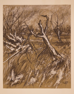 Winterlandschaft (Dietz Erich)