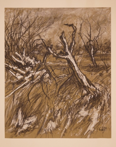 Winterlandschaft (Dietz Erich)