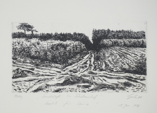 Landschaft in Schulzenhof (Giebe Hubertus)