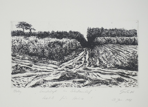 Landschaft in Schulzenhof (Giebe Hubertus)
