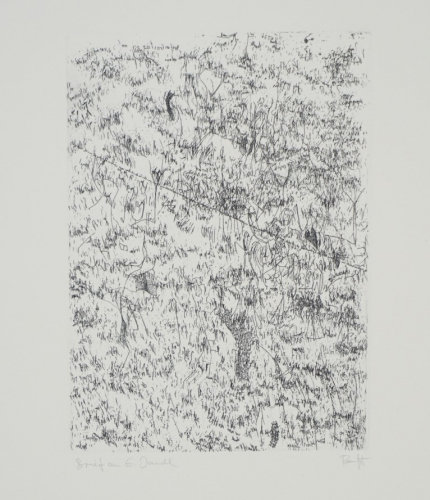 Bl.5 Brief an E.Jandl (Ranft Thomas)