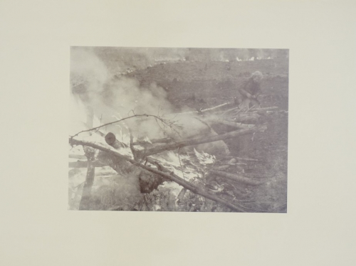 o.T. (Biedermann Wolfgang E.)