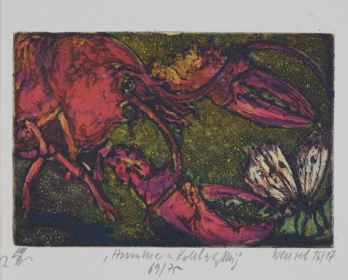 Hummer und Kohlweißling (Wenzel Jürgen)