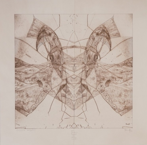 Cherub duplin (Ranft Thomas)