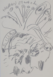o.T. (Ebersbach Hartwig)