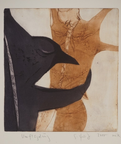 Umflügelung (Firit Günter)