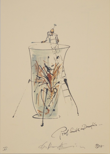 Bl.I Prof.Smith & Drosophila (Ranft-Schinke Dagmar)