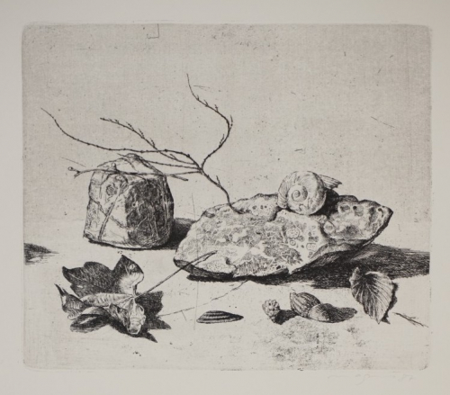 BL. 1 Stilleben mit Stein (Magnus Klaus)