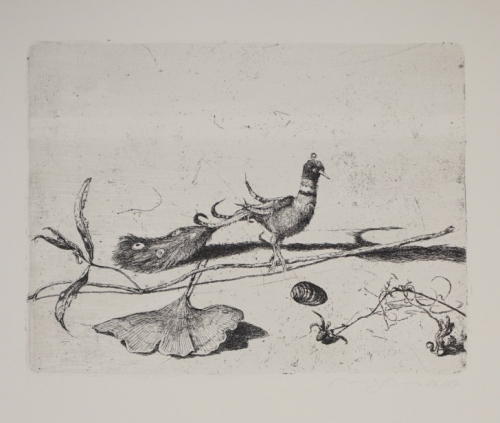 BL. 4 Stilleben mit Paradiesvogel (Magnus Klaus)