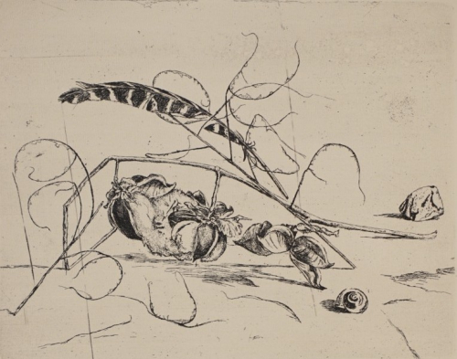 BL. 6 Stilleben mit Baumwollblüte (Magnus Klaus)
