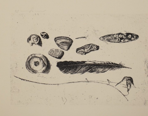 BL. 10 Stilleben mit Feder (Magnus Klaus)