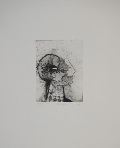 Metamorphose (Pohl Tanja)