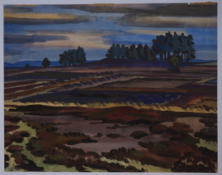 o.T (Heidelandschaft) (Weißflog Günther )