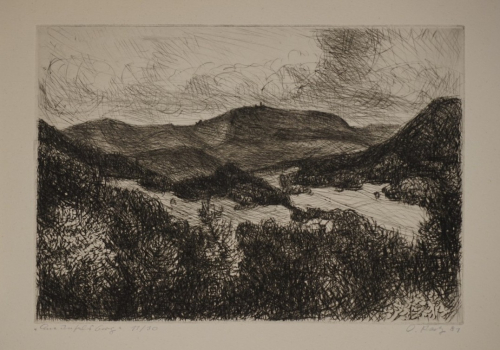 Am Inselberg (Paetz otto)