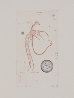 roter Drache (Ranft Thomas)