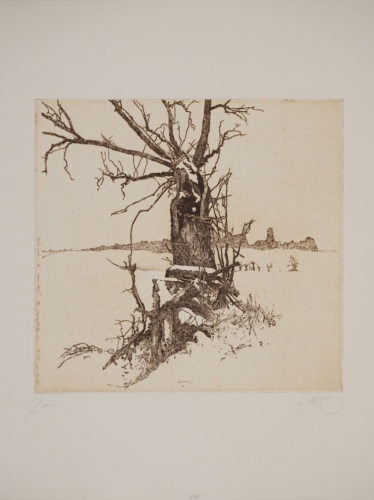 Bl.1 Baum (Herzog Walter)