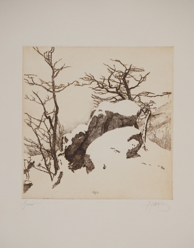 Bl.7 Granit (Herzog Walter)