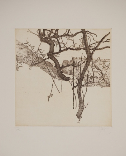 Bl.8 Tal (Herzog Walter)