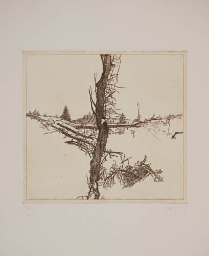 Bl.9 Berg (Herzog Walter)