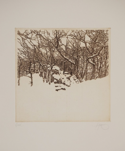 Bl.10 Wald (Herzog Walter)
