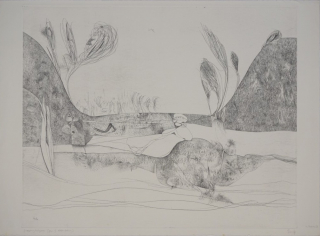 Grasbergtalgras (Ranft Thomas)