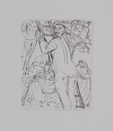 Bl.11 Obsternte (Schwimmer Max)