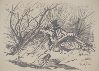 Naturgewalt (Dietz Erich)