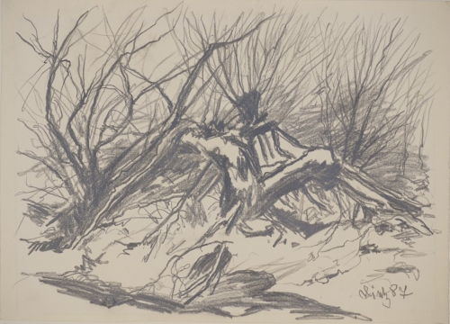 Naturgewalt (Dietz Erich)