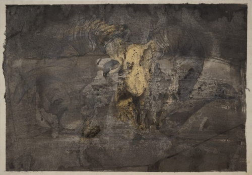 Widder (Richter Günter)