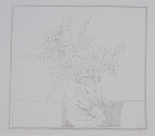 Wiesenblumen (Zettl Baldwin)