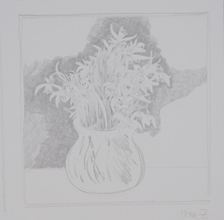 Schneeglöckchen (Zettl Baldwin)