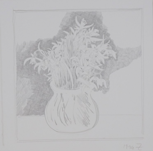 Schneeglöckchen (Zettl Baldwin)