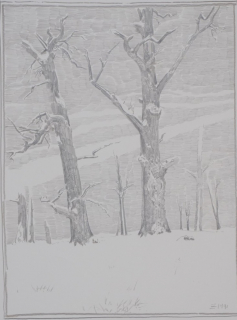 Zwei Bäume im Winter (Schlosspark Machern) (Zettl Baldwin)