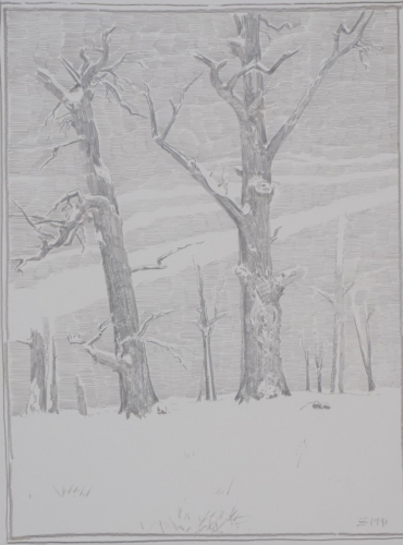 Zwei Bäume im Winter (Schlosspark Machern) (Zettl Baldwin)