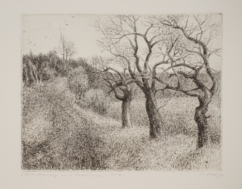 Wiesenweg mit Bäumen (Paetz Otto)