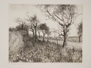 Straßenrand (Paetz Otto)