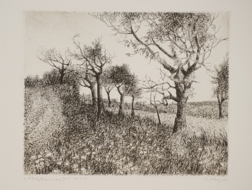 Straßenrand (Paetz Otto)