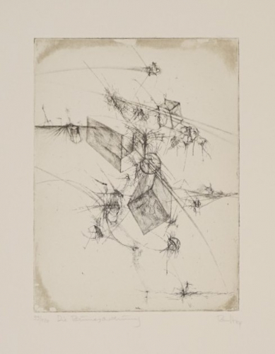 Die Raumesordnung (Ranft Thomas)