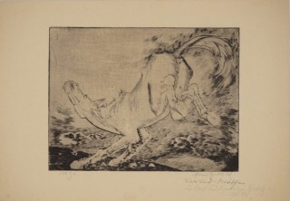 Ausschlagendes Pferd-Tiere und Menschen (Grundig Hans)