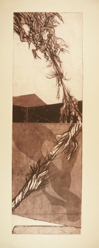 o.T. zerreißendes Seil (Firit Günter)