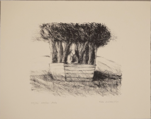 Baum - Arche (Müller Käte)