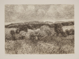 Bei Eichelborn (Paetz Otto)