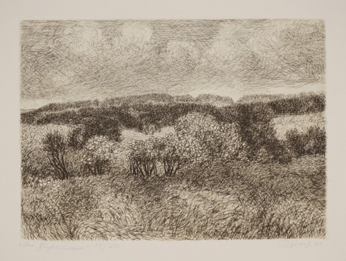 Bei Eichelborn (Paetz Otto)