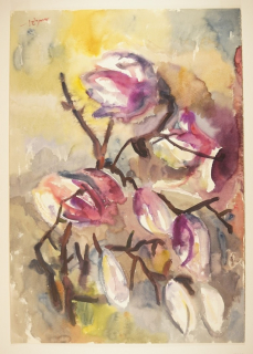 Magnolien (Tetzner Heinz)