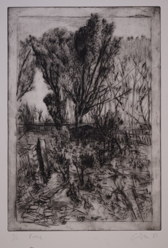 o.T Landschaft (Gille Sighard)